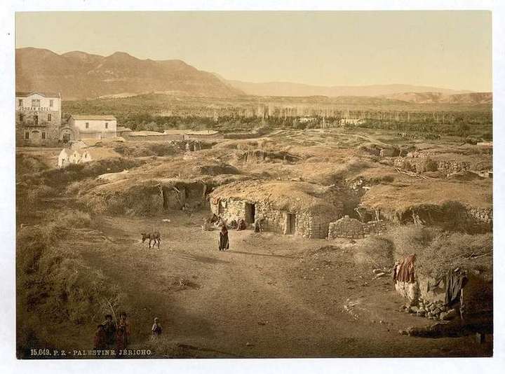 General view, Jericho, Holy Land, (i.e. West Bank)-LCCN2002724993